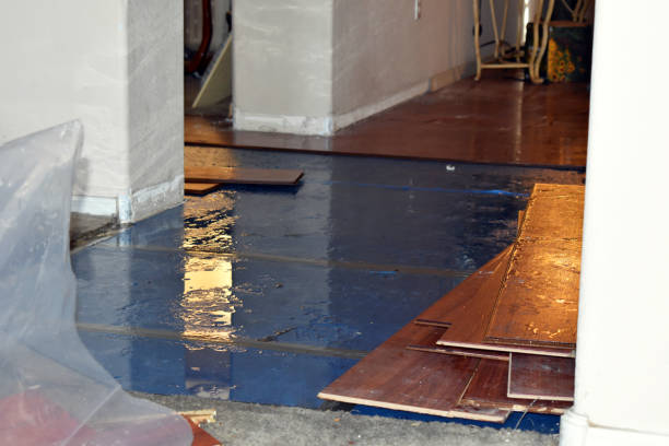 Professional Burst Pipe Cleanup technician working in Port Edwards, WI